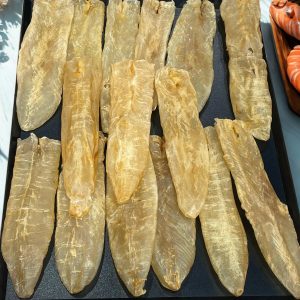 《九折優惠》20-22頭澳洲金龍肚