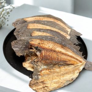 原隻大地魚 (特大)