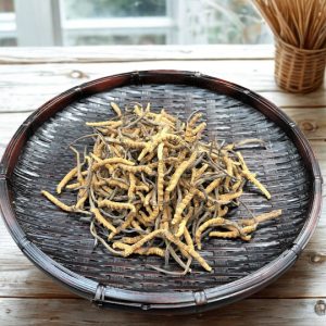 《1兩減$2000》西藏野生精選冬蟲草