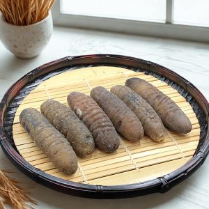 16-18支南澳塔斯曼利亞禿參