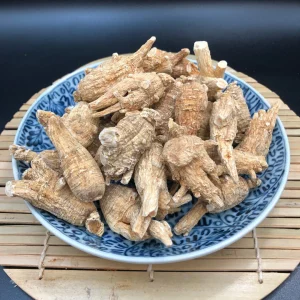 美國花旗蔘 (尾泡) *如需代切片請預備注*