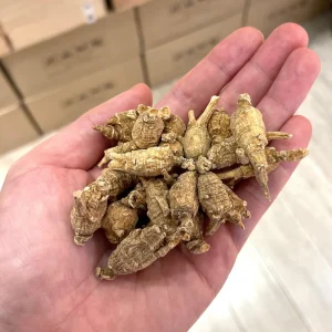 美國花旗蔘 原尾泡蔘 *如需代切片請預備注*