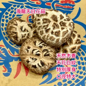 正日本海龍牌天白花菇