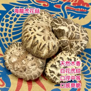 正日本海龍牌虎花菇